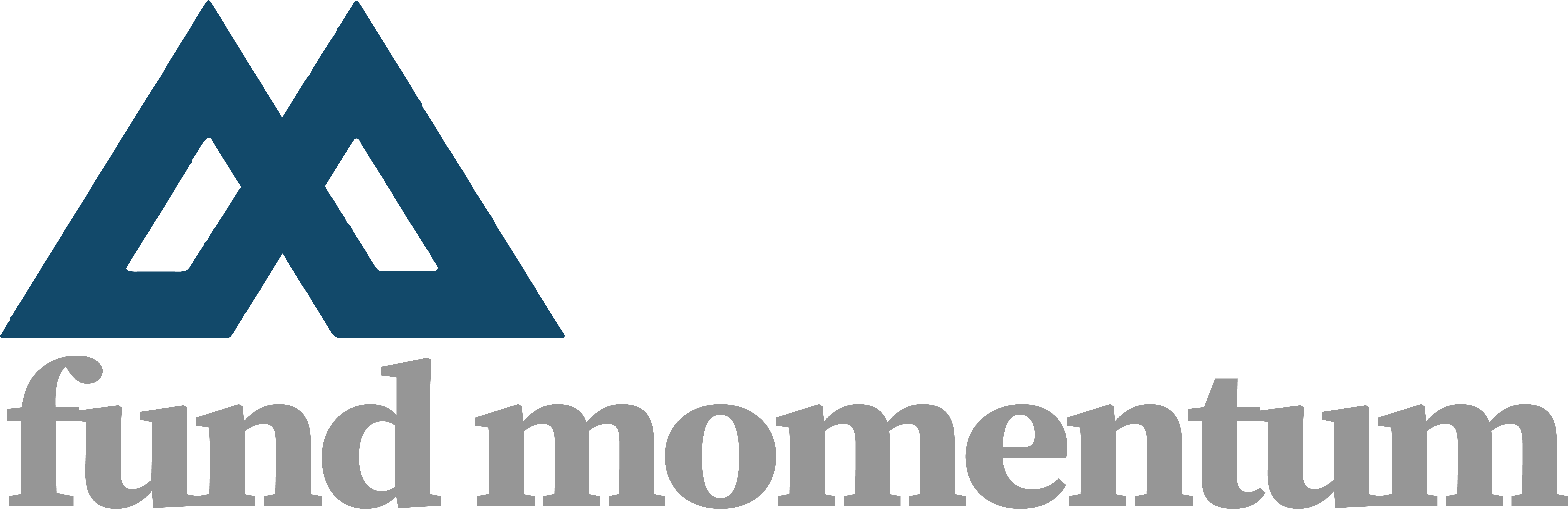 FundMomentum